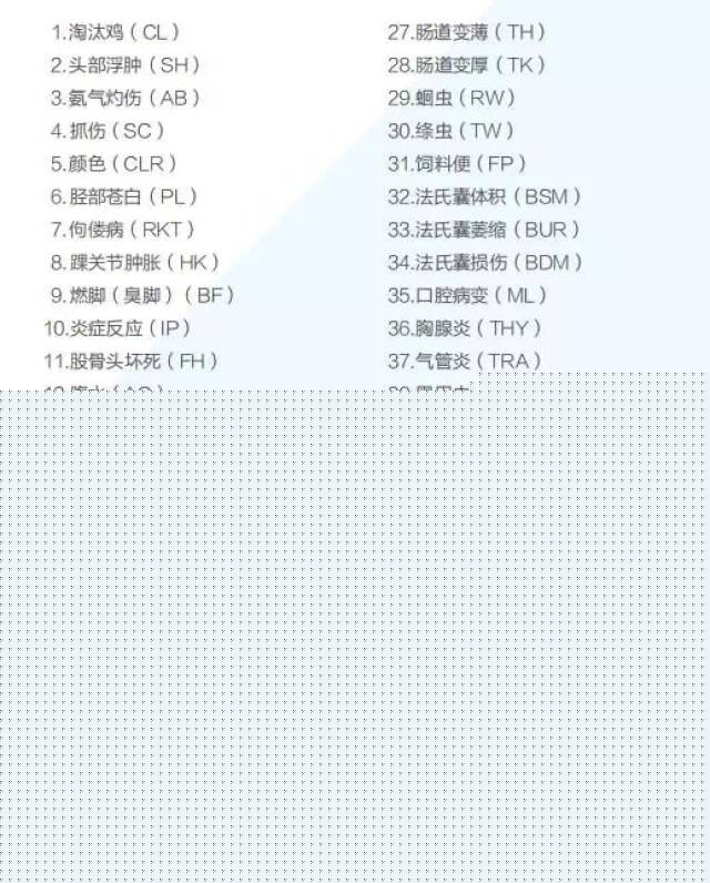 另一个波琳家的女孩