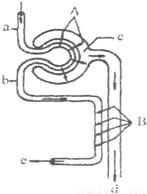 史上最棒的圣诞庆典