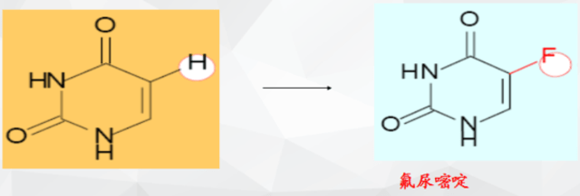 兵王之绝境狙杀
