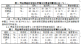 光荣之路上的狗