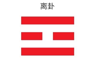 光荣之路上的狗