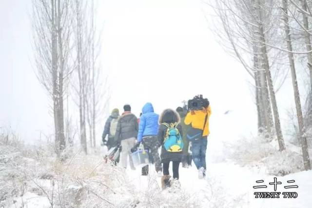 克莱拉与熊的秘密