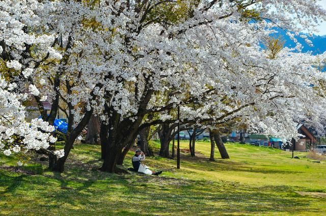 全职杀手(粤语版)