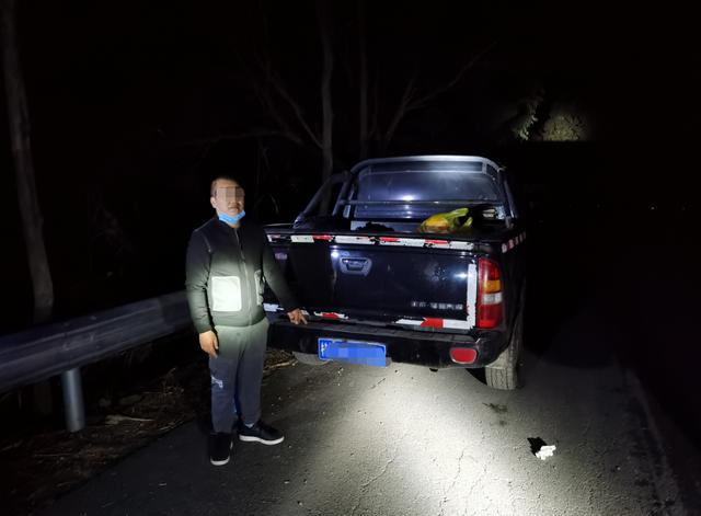 冰河世纪：巨蛋恶作剧