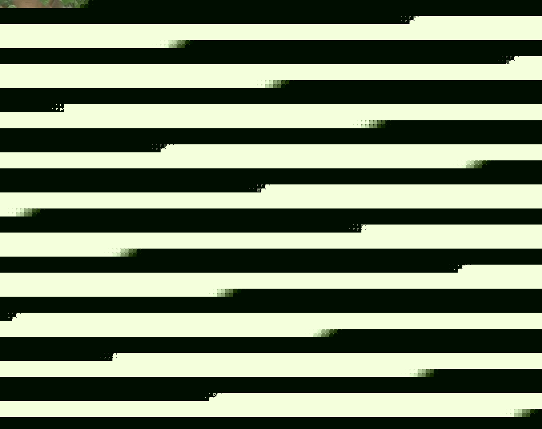 兵临城下之决战要塞