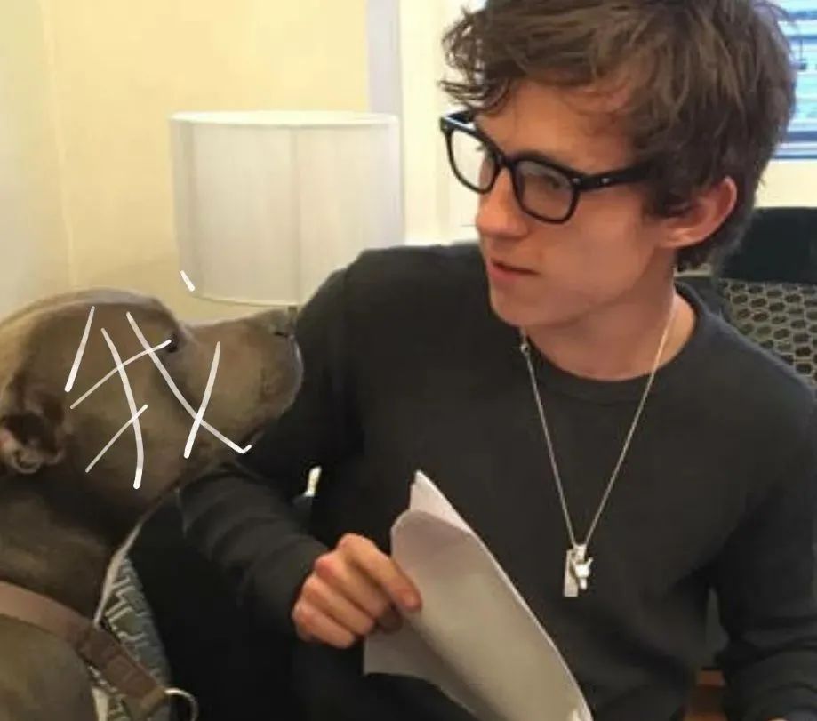 兵荒马乱的爱情