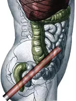 关于拉克拉女王的惊人真相