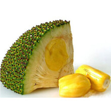 再见我们的十年