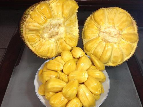 克隆特工之极限对决