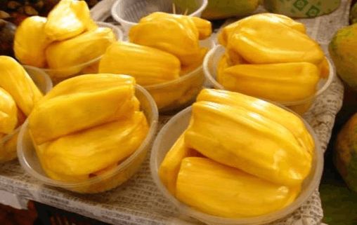 名侦探柯南:水平线上的阴谋