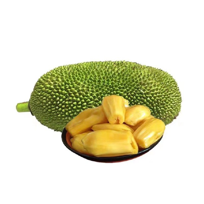 哉阿斯奥特曼2：超人大战·光与影